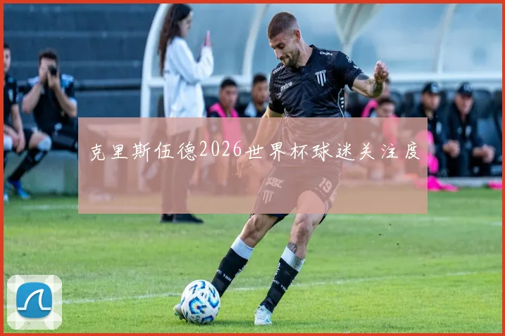 克里斯伍德2026世界杯球迷关注度