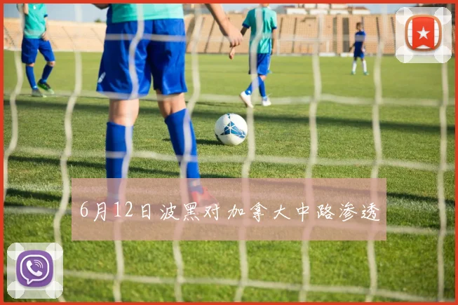 6月12日波黑对加拿大中路渗透