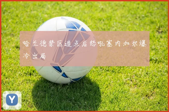 哈兰德禁区造点后怒吼塞内加尔爆冷出局