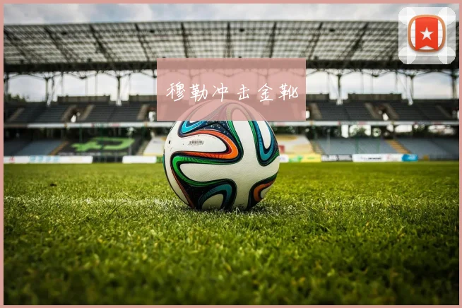 穆勒冲击金靴 - 星空体育集团