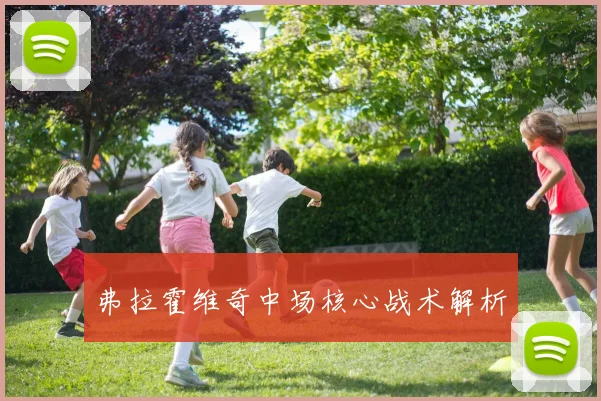 弗拉霍维奇中场核心战术解析 - 星空体育集团