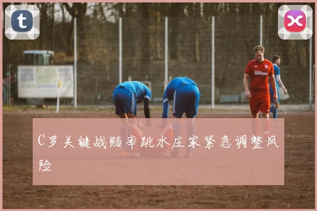 C罗关键战赔率跳水庄家紧急调整风险 - 星空体育集团