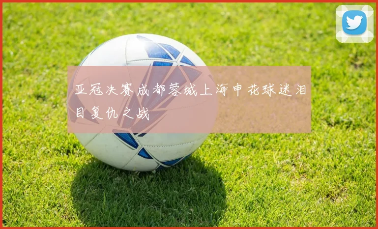 亚冠决赛成都蓉城上海申花球迷泪目复仇之战