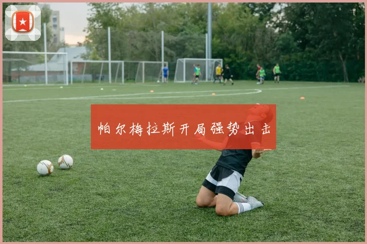 帕尔梅拉斯开局强势出击 - 星空体育集团