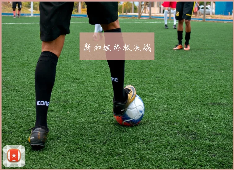 新加坡终极决战 - 星空体育集团