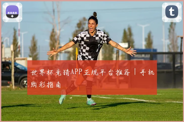 世界杯竞猜APP正规平台推荐｜手机购彩指南 - 星空体育集团