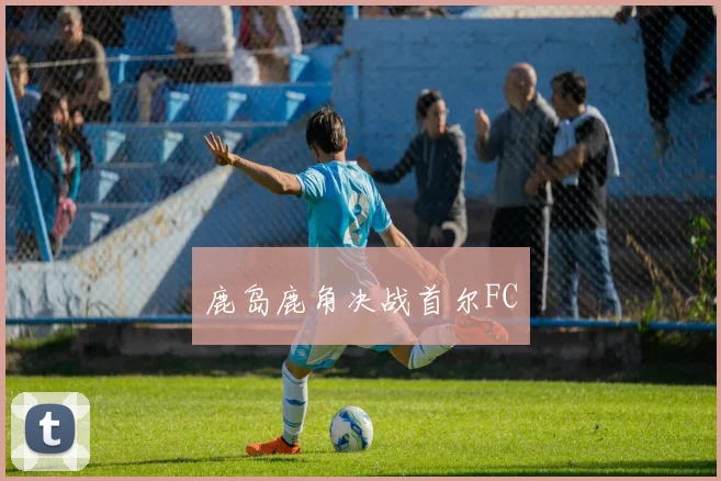 鹿岛鹿角决战首尔FC - 星空体育集团