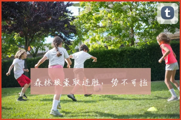 森林狼豪取连胜，势不可挡 - 星空体育集团