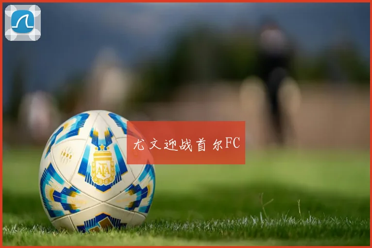 尤文迎战首尔FC - 星空体育集团