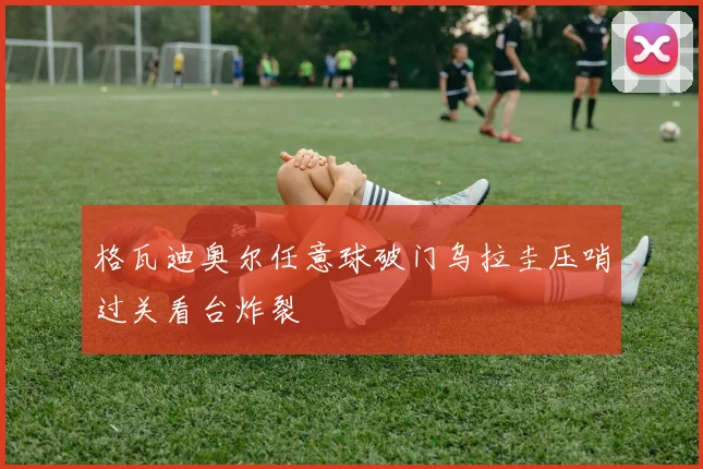 格瓦迪奥尔任意球破门乌拉圭压哨过关看台炸裂