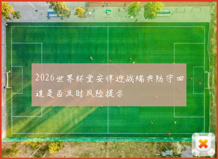 2026世界杯堂安律迎战瑞典防守回追是否及时风险提示