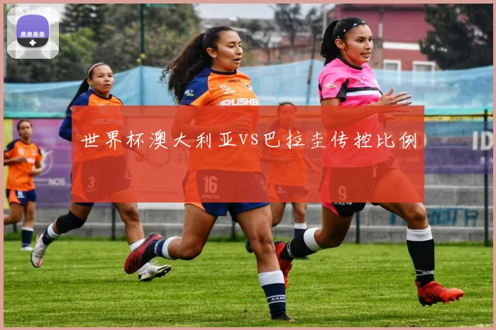 世界杯澳大利亚vs巴拉圭传控比例